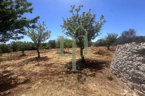 Ruinere i Carovigno, Brindisi, Carovigno - € 97.000 | Ref: Trullo Iovite - foto 20